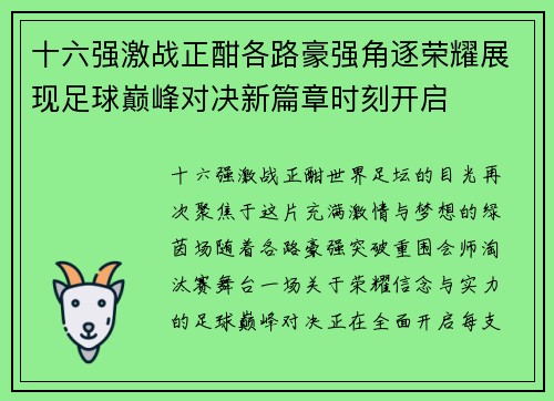 十六强激战正酣各路豪强角逐荣耀展现足球巅峰对决新篇章时刻开启